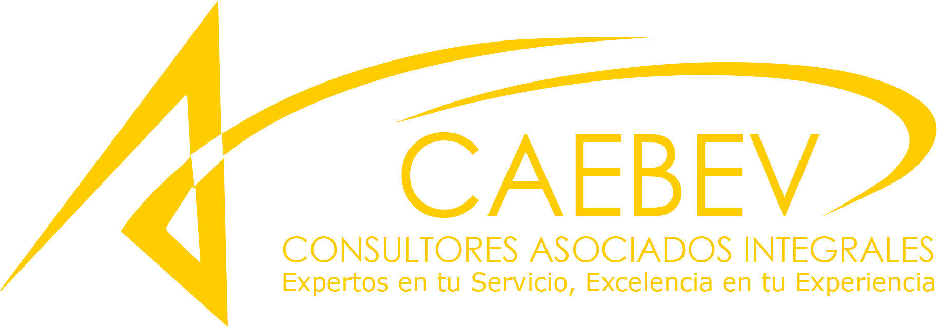 CAEBEV - Consultores Asociados Integrales